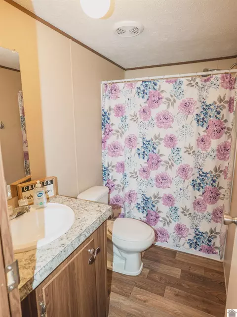 201 Ball Park Loop, Ledbetter, KY 42058 photo 13