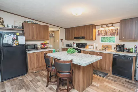 201 Ball Park Loop, Ledbetter, KY 42058 photo 5