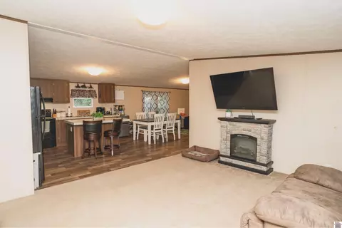 201 Ball Park Loop, Ledbetter, KY 42058 photo 4