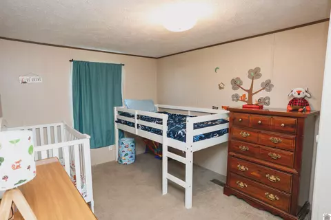 201 Ball Park Loop, Ledbetter, KY 42058 photo 11