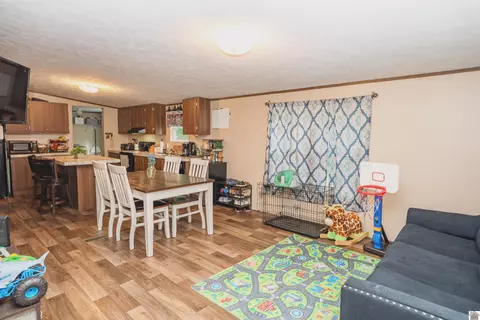 201 Ball Park Loop, Ledbetter, KY 42058 photo 8