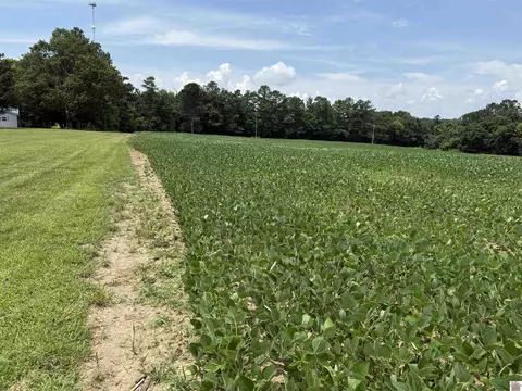 12184 Ky 97, Farmington, KY 42040