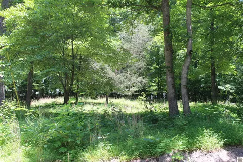 000 Perry Springs Rd, Eddyville, KY 42038