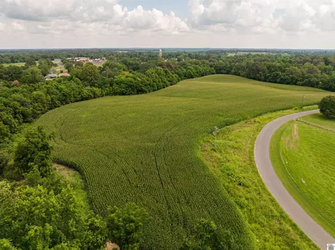 0 Boyd Rd, Wingo, KY 42088 photo 10