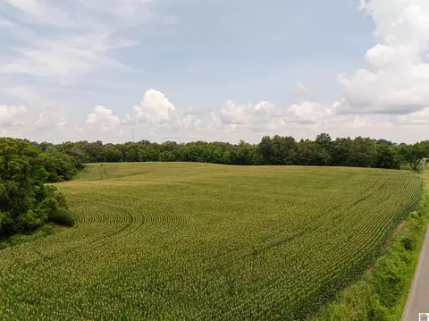 0 Boyd Rd, Wingo, KY 42088 photo 4
