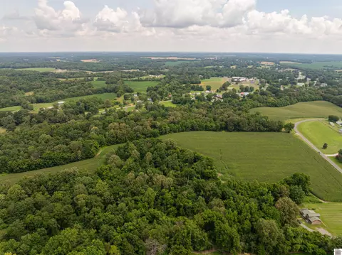 0 Boyd Rd, Wingo, KY 42088 photo 6