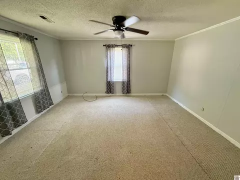 48 2nd St, Almo, KY 42020 photo 5