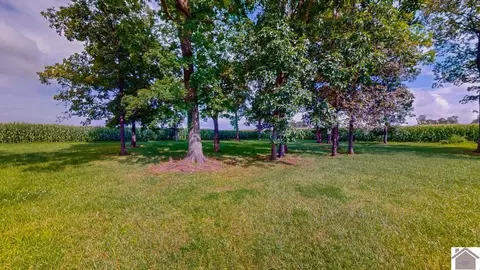 4214 Byars Rd, Hazel, KY 42049 photo 11
