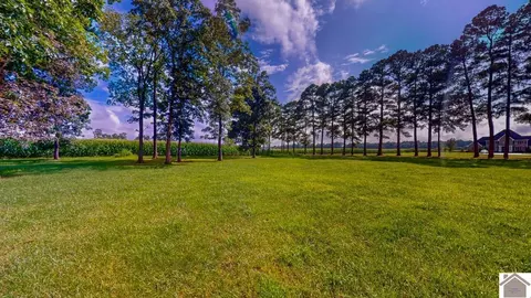 4214 Byars Rd, Hazel, KY 42049 photo 10