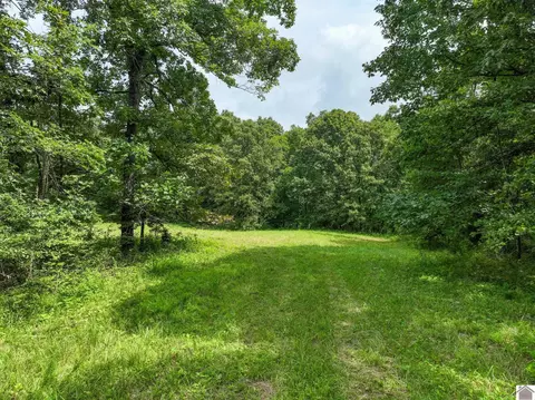 1134 Pisgah Rd, Smithland, KY 42081