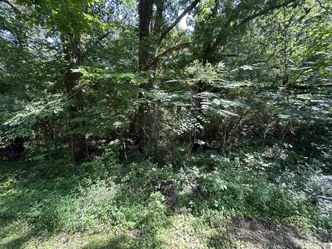 00 Cherry Oak Ln, Calvert City, KY 42029