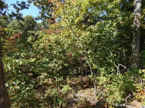 lot39 Wallace Cemetery Ln, Gilbertsville, KY 42044