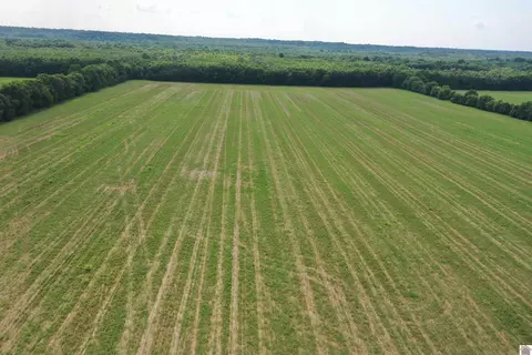 0 Dogtown Rd, Benton, KY 42025