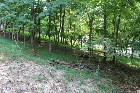 350 Oriole Dr, Eddyville, KY 42038