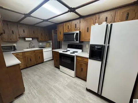 1868 Lowes Rd, Cunningham, KY 42035 photo 8