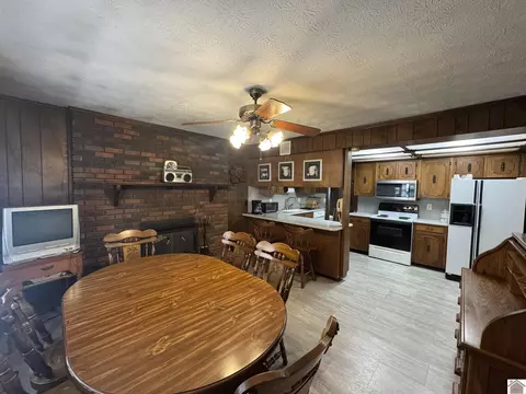 1868 Lowes Rd, Cunningham, KY 42035 photo 7