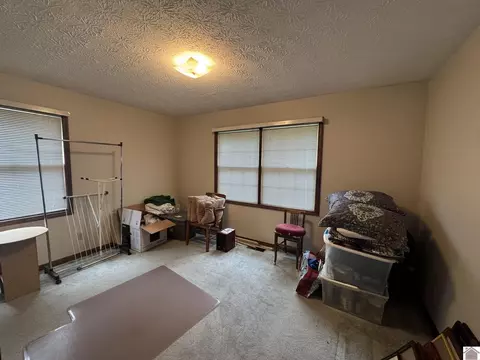 1868 Lowes Rd, Cunningham, KY 42035 photo 11