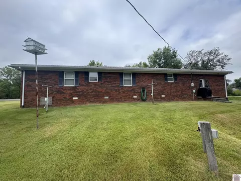 1868 Lowes Rd, Cunningham, KY 42035 photo 2