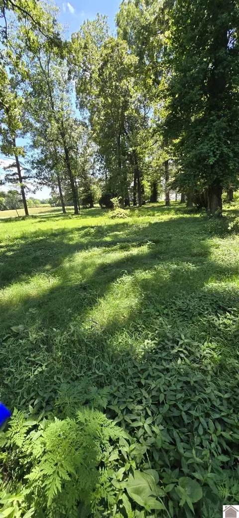 199 Dawes Ln, Benton, KY 42025
