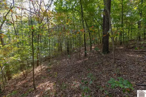 77 Lancaster Rd, Murray, KY 42071 photo 26