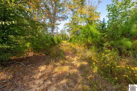 77 Lancaster Rd, Murray, KY 42071 photo 32