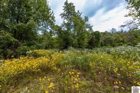 77 Lancaster Rd, Murray, KY 42071 photo 20