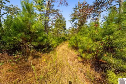77 Lancaster Rd, Murray, KY 42071 photo 24