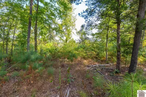 77 Lancaster Rd, Murray, KY 42071 photo 30