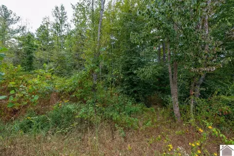77 Lancaster Rd, Murray, KY 42071 photo 23
