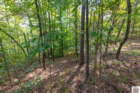 77 Lancaster Rd, Murray, KY 42071 photo 28