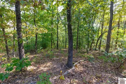 77 Lancaster Rd, Murray, KY 42071 photo 29