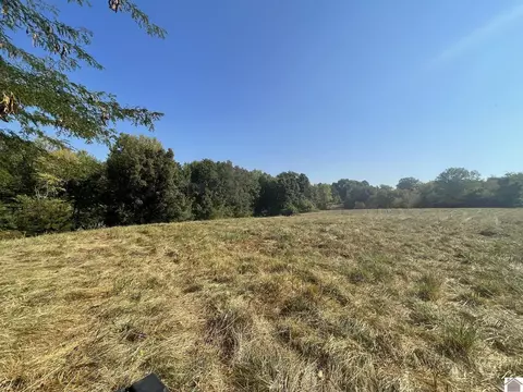 1386 N State Route 339, Fancy Farm, KY 42039