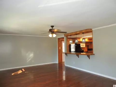105 E Farthing St, Mayfield, KY 42066 photo 3