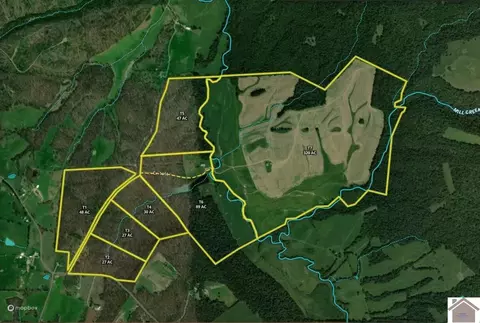 000 Guggenheim Rd, Marion, KY 42064