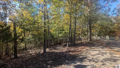 0 Leisure Acres Ln, Murray, KY 42071