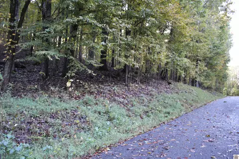 000 Palisades Dr, Eddyville, KY 42038