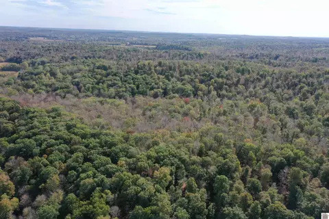 0 Archie Ortt Rd, Princeton, KY 42445