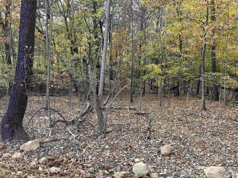 00 Miller Ln, Gilbertsville, KY 42044