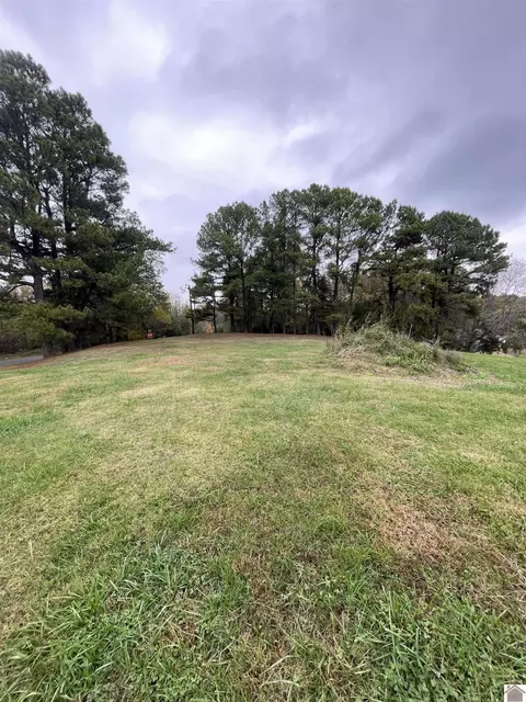 Lebanon Street, Wingo, KY 42088