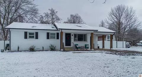 423 Mary Dr, Ledbetter, KY 42058