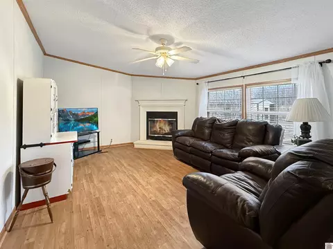 3009 Sid Darnall Rd, Benton, KY 42025 photo 10
