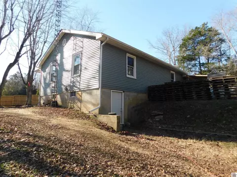 8166 State Route 58, Mayfield, KY 42066 photo 3