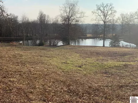 170 Alexander Loop, Mayfield, KY 42066 photo 31