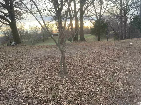 170 Alexander Loop, Mayfield, KY 42066 photo 33