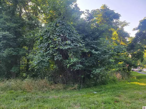 0 Hylan Dr, Eddyville, KY 42038