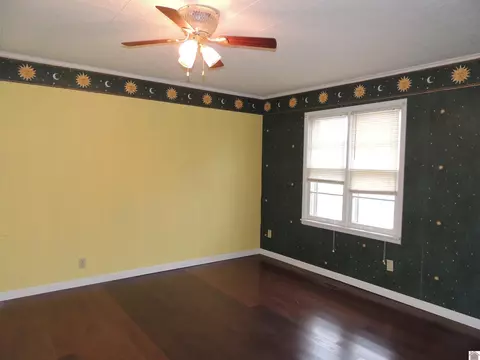 244 Ash Dr, Mayfield, KY 42066 photo 9
