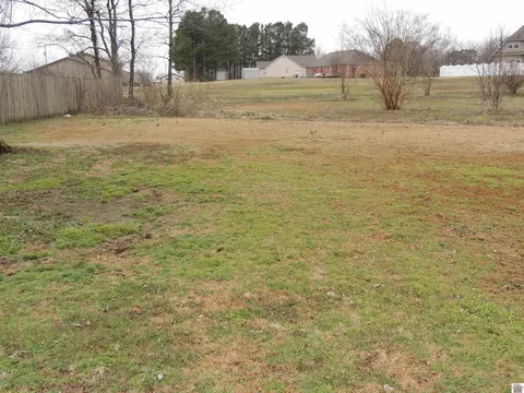 244 Ash Dr, Mayfield, KY 42066 photo 20