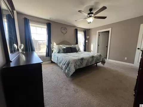 4697 State Route 384, Mayfield, KY 42066 photo 37