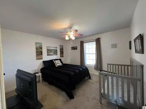 4697 State Route 384, Mayfield, KY 42066 photo 36