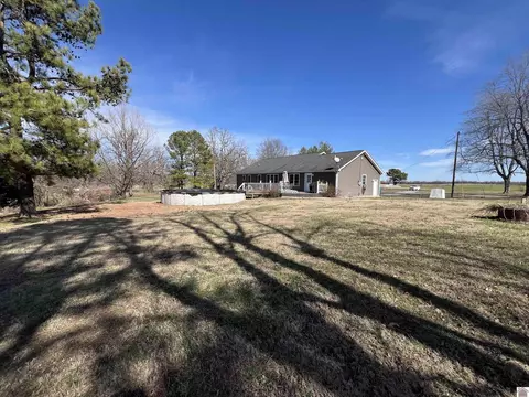 4697 State Route 384, Mayfield, KY 42066 photo 19